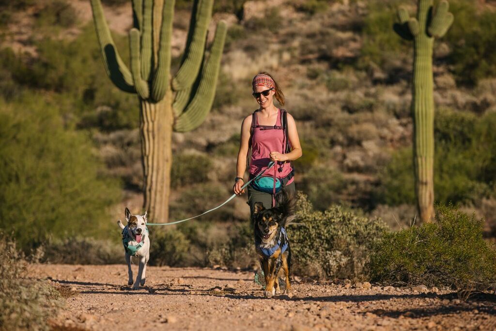 RUFFWEAR-Leichte-Fuehrleine-Hi-and-Light-Leash-Nylon-Alltagsleine-wetterfest-Sage-Green-RU-49915