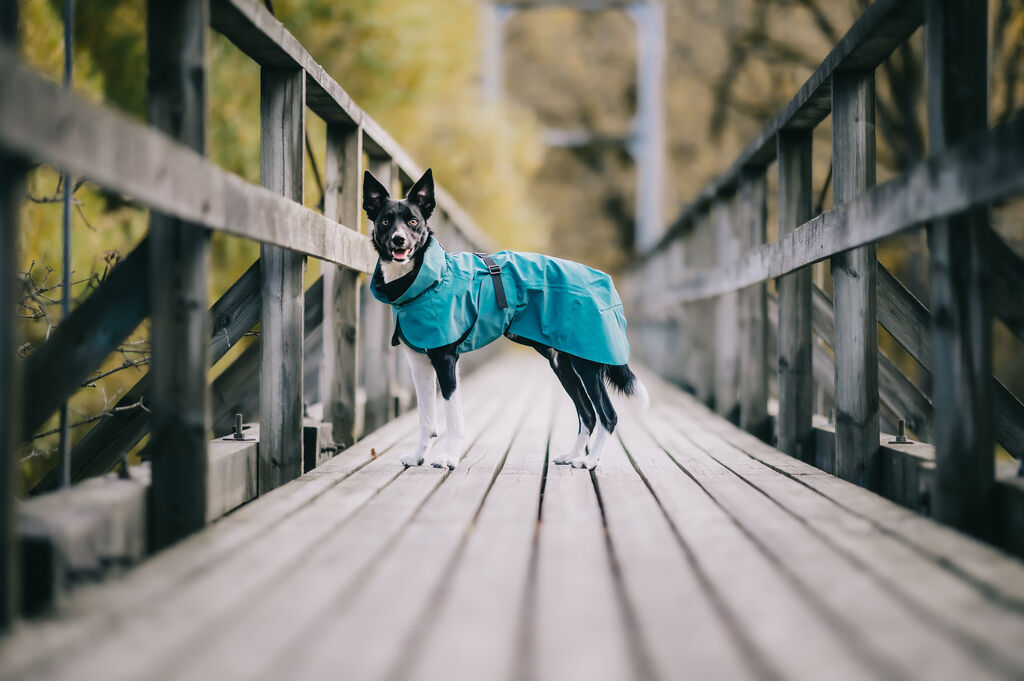 PAIKKA-Regenmantel-reflektierend-Visibility-Raincoat-Emerald-Hundemantel-fuer-schlechtes-Wetter-60-46367