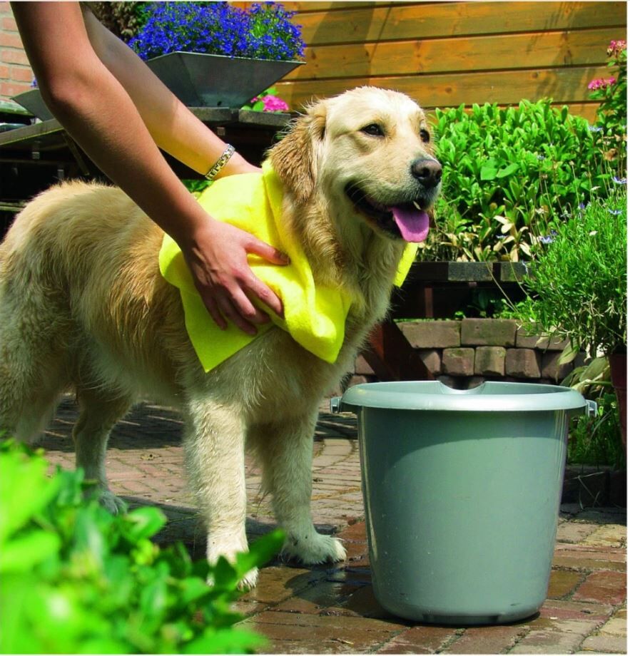 Pawise-Hundehandtuch-gelb-schnelle-Trocknung-extrem-saugfaehig-Golden-Retriever-wird-abgetrocknet-28-51242