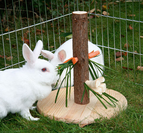 Kerbl-Futterbaum-Nature-Kaninchen-Spielzeug-KE-84408
