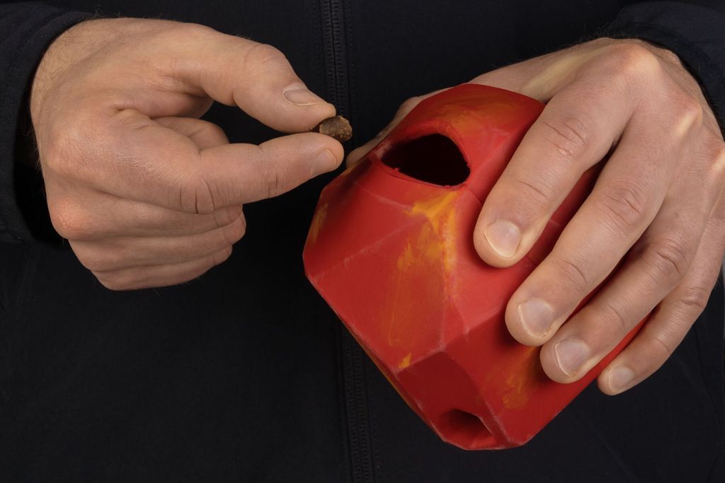 Buy Gnawt natural rubber dog toy at PERRO