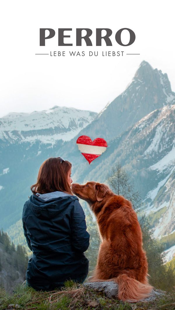 PERRO Futter & Zubehör in Österreich online kaufen